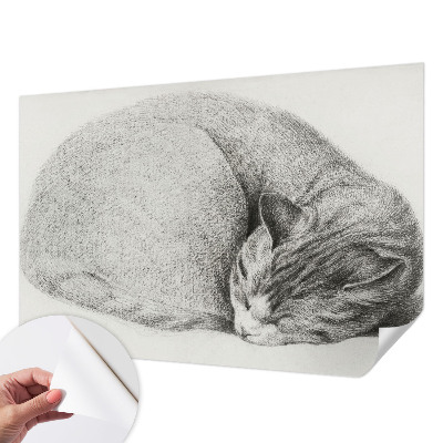 Zelfklevende behangsticker opgerolde kat