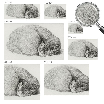 Zelfklevende behangsticker opgerolde kat