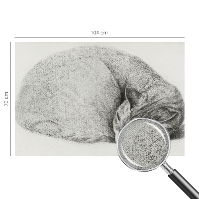 Zelfklevende behangsticker opgerolde kat