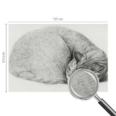 Zelfklevende behangsticker opgerolde kat