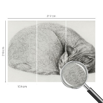 Zelfklevende behangsticker opgerolde kat