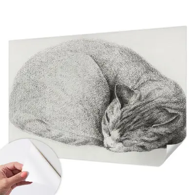 Zelfklevende behangsticker met het ontwerp van een opgerolde kat