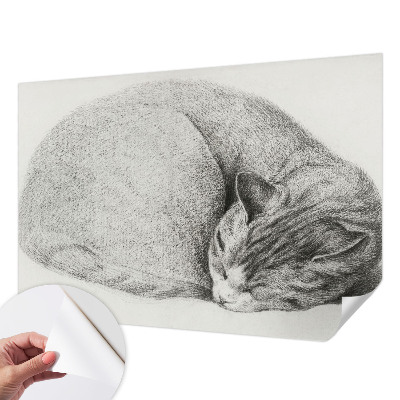 Zelfklevende behangsticker opgerolde kat