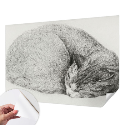 Zelfklevende behangsticker opgerolde kat