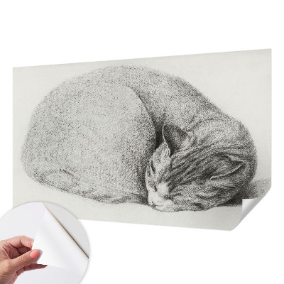 Zelfklevende behangsticker opgerolde kat