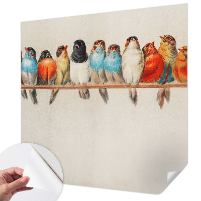 3D fotobehang met een voorstelling van vogels op een tak