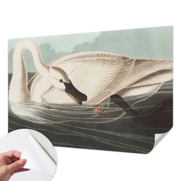 Fotobehang voor de kinderkamer met een rustgevend natuurelement als harmonieus dessin