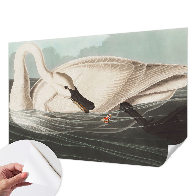 Fotobehang voor de kinderkamer met een rustgevend natuurelement als harmonieus dessin