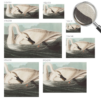 Fotobehang voor de kinderkamer Harmonie van de natuur