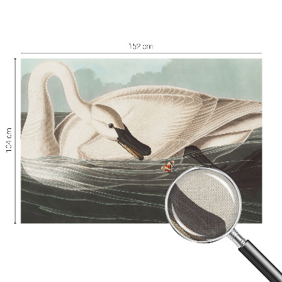Fotobehang voor de kinderkamer Harmonie van de natuur