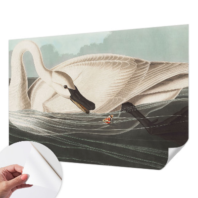 Fotobehang voor de kinderkamer Harmonie van de natuur