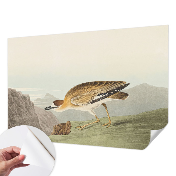 Fotobehang tienerkamer Bergvogel