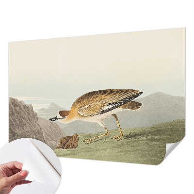 Fotobehang tienerkamer Bergvogel