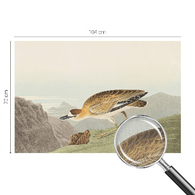 Fotobehang tienerkamer Bergvogel