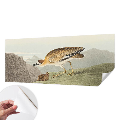 Fotobehang tienerkamer Bergvogel
