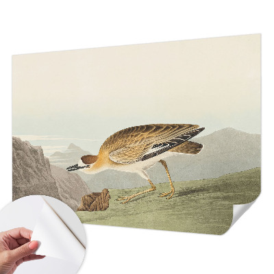 Fotobehang tienerkamer Bergvogel