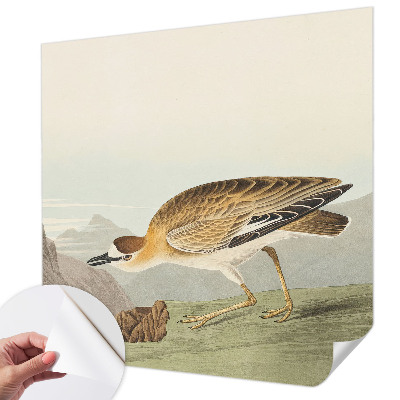 Fotobehang tienerkamer Bergvogel