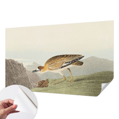Fotobehang tienerkamer Bergvogel