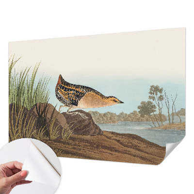 Foto behang voor de keuken Natuurlijke scène