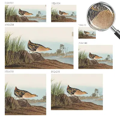 Foto behang voor de keuken met een natuurlijke scène