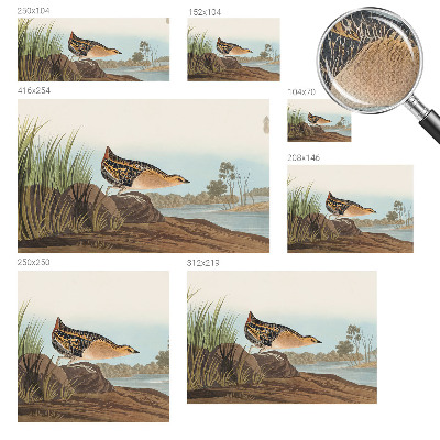 Foto behang voor de keuken Natuurlijke scène