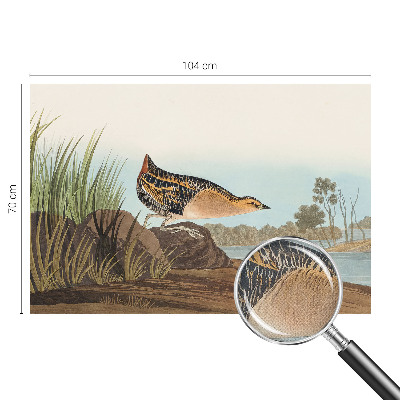 Foto behang voor de keuken Natuurlijke scène