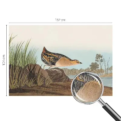 Foto behang voor de keuken met een natuurlijke scène