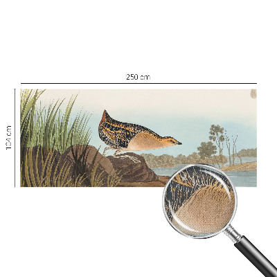 Foto behang voor de keuken Natuurlijke scène