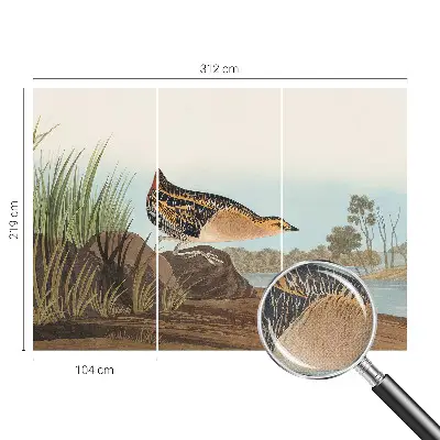 Foto behang voor de keuken met een natuurlijke scène