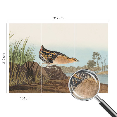 Foto behang voor de keuken Natuurlijke scène