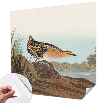 Foto behang voor de keuken Natuurlijke scène