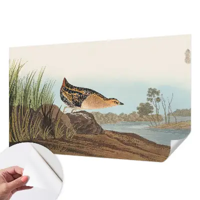 Foto behang voor de keuken met een natuurlijke scène