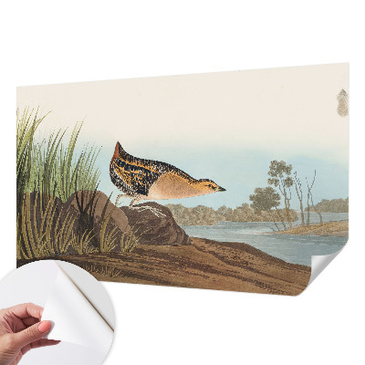 Foto behang voor de keuken Natuurlijke scène