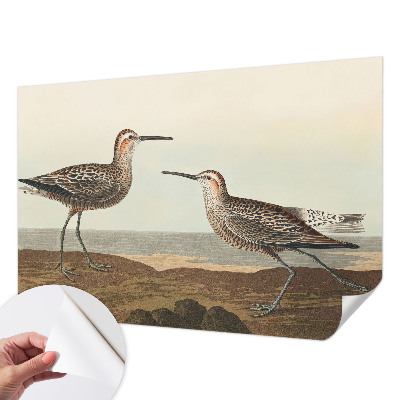 Fotobehang voor de kinderkamer met silhouetten van vogels