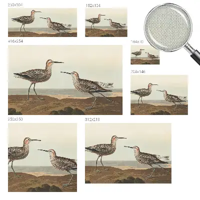 Fotobehang voor de kinderkamer met silhouetten van vogels