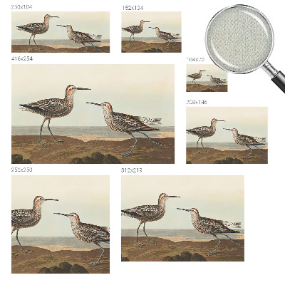 Fotobehang voor de kinderkamer Silhouetten van vogels