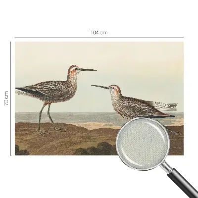 Fotobehang voor de kinderkamer met silhouetten van vogels