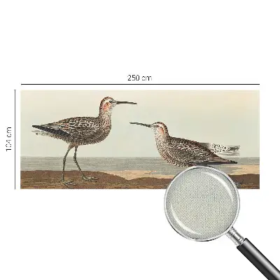 Fotobehang voor de kinderkamer met silhouetten van vogels