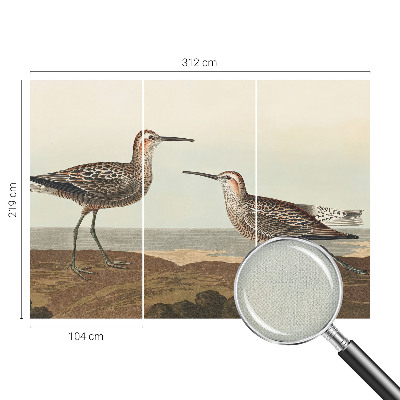 Fotobehang voor de kinderkamer Silhouetten van vogels