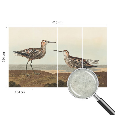 Fotobehang voor de kinderkamer Silhouetten van vogels