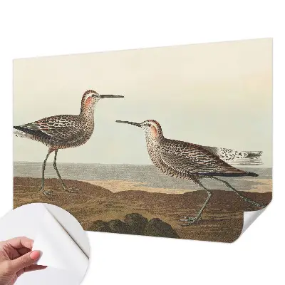 Fotobehang voor de kinderkamer met silhouetten van vogels