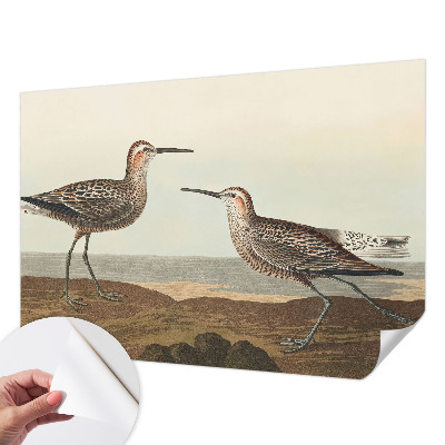 Fotobehang voor de kinderkamer Silhouetten van vogels