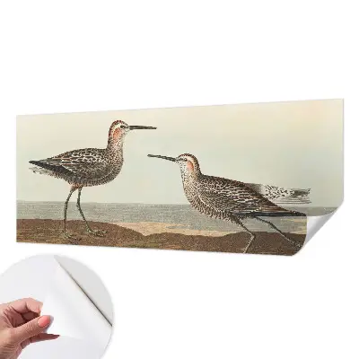 Fotobehang voor de kinderkamer met silhouetten van vogels