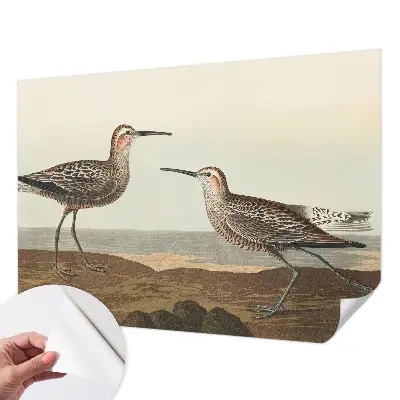 Fotobehang voor de kinderkamer met silhouetten van vogels