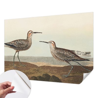 Fotobehang voor de kinderkamer Silhouetten van vogels