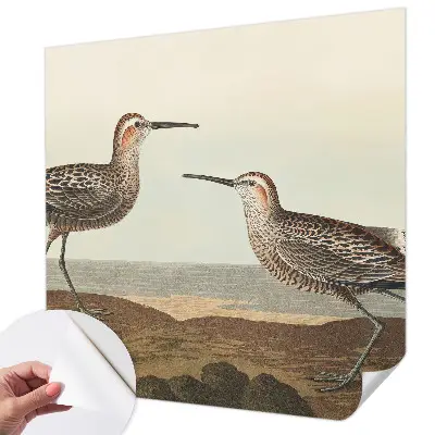 Fotobehang voor de kinderkamer met silhouetten van vogels