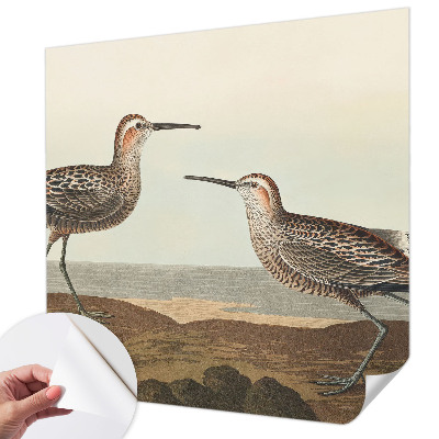 Fotobehang voor de kinderkamer Silhouetten van vogels