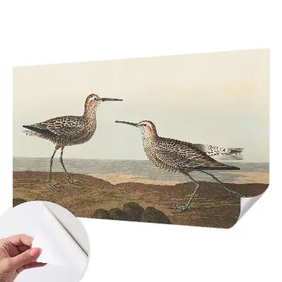 Fotobehang voor de kinderkamer met silhouetten van vogels