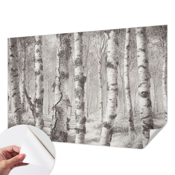 3D fotobehang Berkenbos