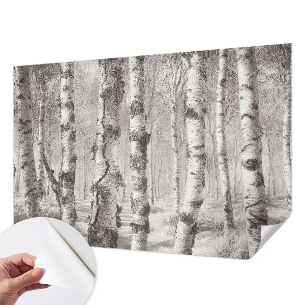 3D fotobehang met een berkenbos-motief